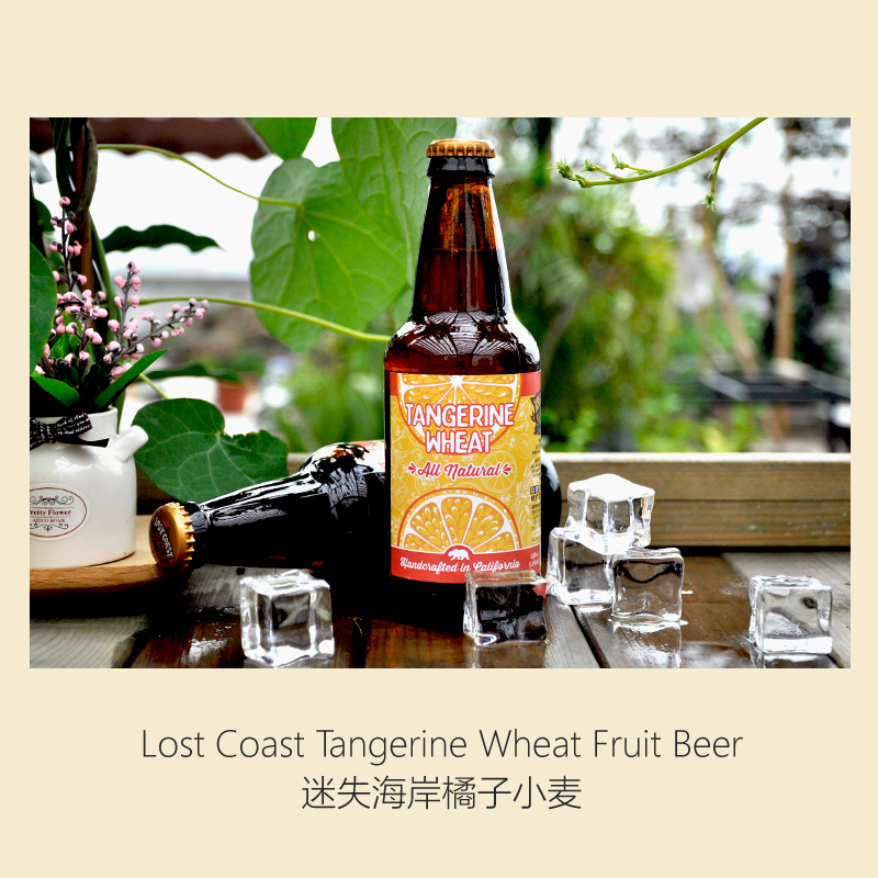 迷失海岸橘子味小麦啤酒355ml24瓶